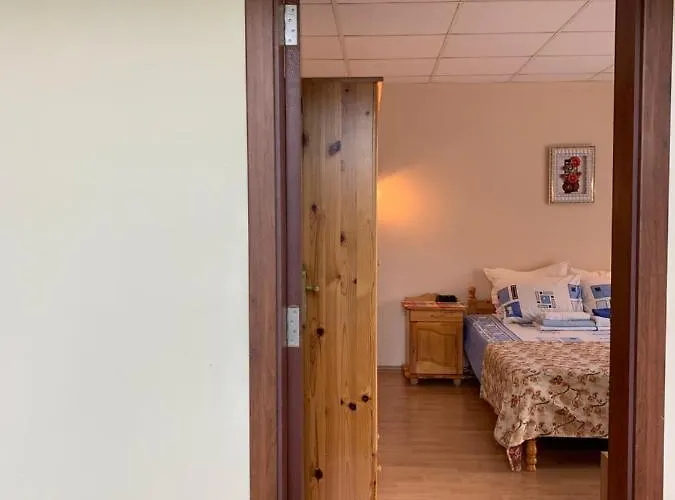 Guest House Olesya 3*